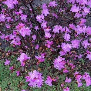 Meet your Posher, Kellie